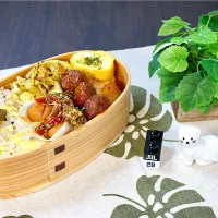 今日のお弁当 25/07/28| しげさん