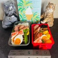 20250728🍱今日のお弁当🍱|akiyo22さん