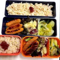 今日のお弁当|Victoryageさん