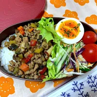 自分弁当🍱|がおりんさん