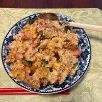 ゴーヤチャーハン|西田聡さん