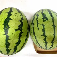 小玉スイカ🍉|pepiさん