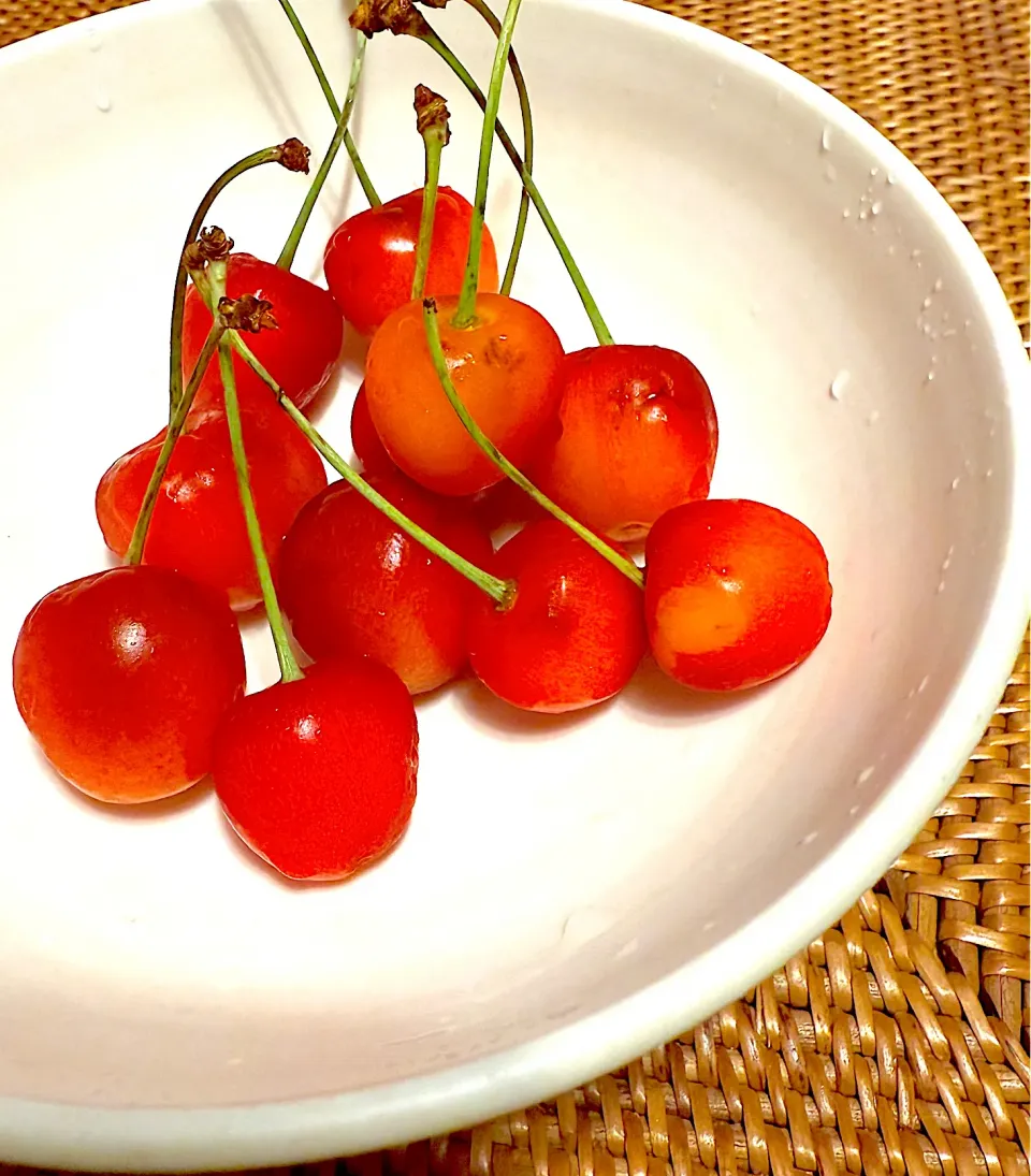 さくらんぼ🍒|Noriyuki Saitoさん