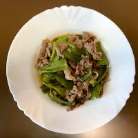 HOME 牛肉ピーマン炒め| ばーさんさん