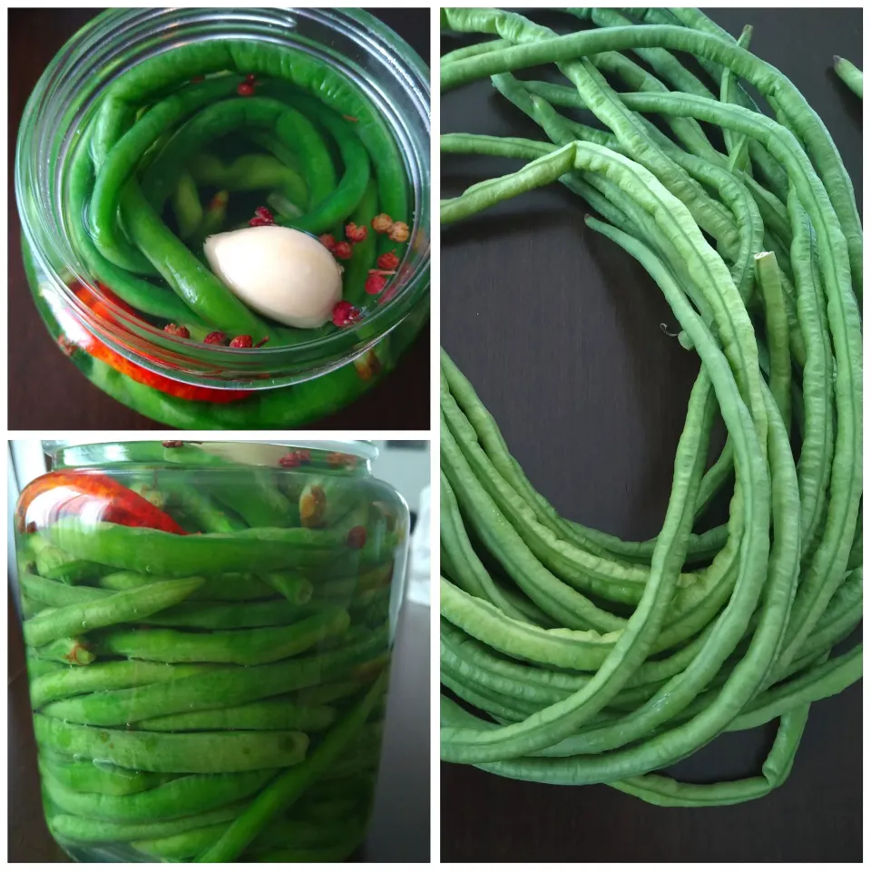 アッチさんの料理 酸豆角|とだともさん