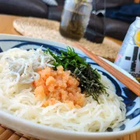 明太しらすそうめん|まりおさん