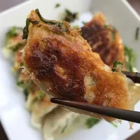 「パクチー餃子db晩酌」
隠し味に パクチー、ナンプラー
ドライイチジクを入れてみる
梅焼きめし  春雨サラダを添えて
晩ごはん💦|ばくあんしゃさん