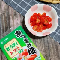 トマト嫌いも食べれるトマト料理|YUKIさん