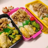 娘弁当､私弁当､夫弁当|みどりさん