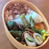 豚なすピーマンの味噌炒め弁当|まきごろうさん