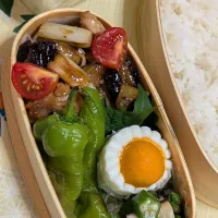 本日のお弁当〜鶏肩肉と茄子の甘酢炒め弁当