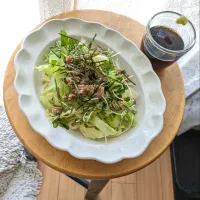 ぶっかけ✽ミートサラダうどん|mi_neneco♪さん