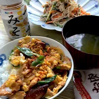 大豆のお肉で親子丼|とんちんさん