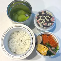 レッドチキン
大葉つくね
ほうれん草ソテー
卵焼き
シャインマスカット
のり弁
ポッピングルト|ayumomさん