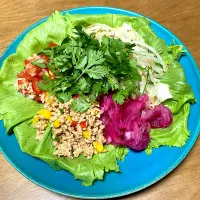 大豆のお肉ミンチでラープムー風|ユウさん