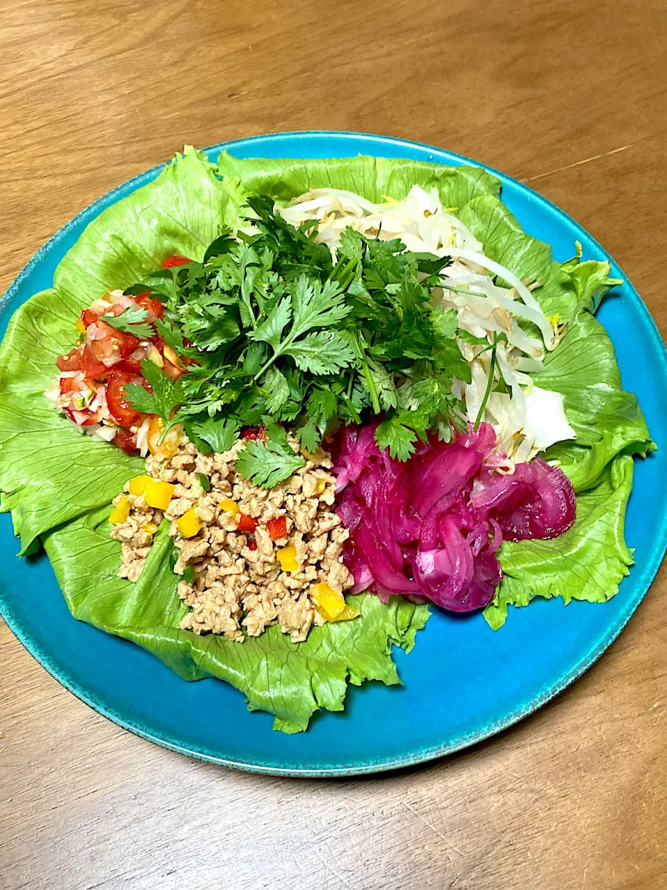 大豆のお肉ミンチでラープムー風|ユウさん