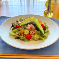 サラダそうめん🥗|とっぴぃさん