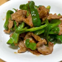単身赴任中の男飯(青椒肉絲？)|おおもりの星さん