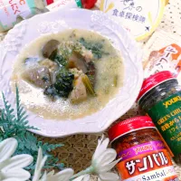 🇱🇦オーガイꕤ鶏肉と野菜のラオス風シチュー·͜·♡| fumiさん