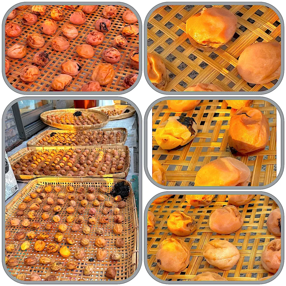 今年の梅干し|misakoさん