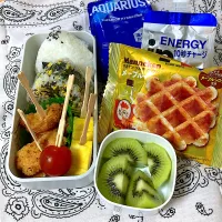 おにぎり弁当|SaDaさん