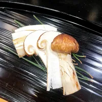 松茸|ⅡⅣⅢさん