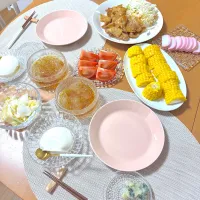 今夜のディナー|かなママさん