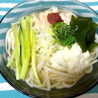 アルモンデ冷やしうどん|もーやんさん