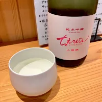 ちえびじん|T. Wonderさん