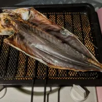 くさやで一杯|kamekameさん