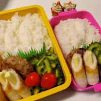 夫弁当､私弁当| みどりさん