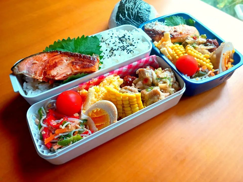 次男・私弁当&おにぎり|tamagomagomagoさん