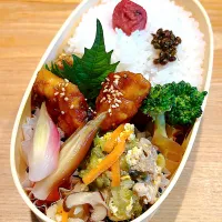 7/31 いつもの弁当|ペイたさん