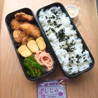 鶏の唐揚げ弁当|みわさん