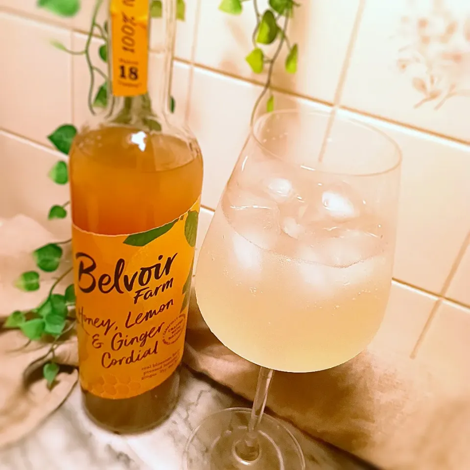 🍋🐝コーディアルで大人のジンジャーエール🐝🫚|❤︎YUKARI❤︎さん