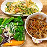 ゴーヤチャンプル・夏野菜の煮浸し・きんぴら|hiromiさん