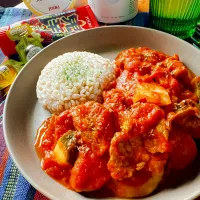 🌵🇲🇽サルサ・ロハ・ポークカルド🇲🇽🌵| にゃんぺこさん