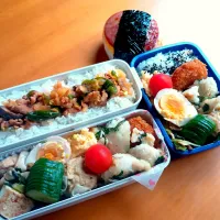 次男・私弁当&おにぎり|tamagomagomagoさん