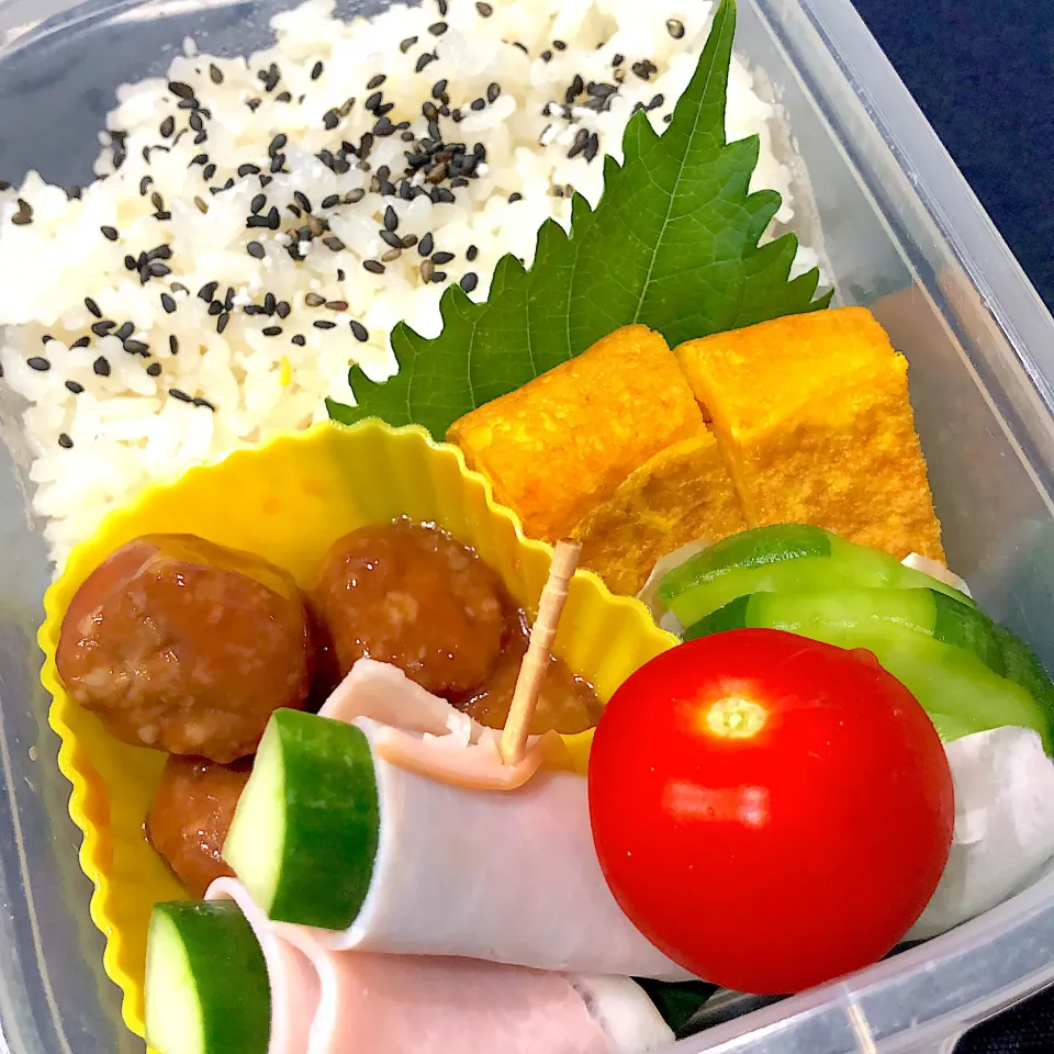 ごま塩ご飯、たまご焼き、はぐら瓜の浅漬け、ミートボール、きゅうりのハム巻き、ミニトマト|きらきらさん