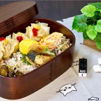 今日のお弁当 25/08/01|しげさん