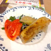 おからバーグのライスペーパー巻き|すずさん