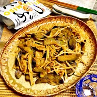 豚肉と茄子のもやしのピリ辛炒め|まめもにおさん