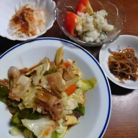 肉野菜炒め|ぱやさん