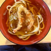 〆の海老天おろしうどん　ごちそうさまー😋　（実況中継終了）|なびさん