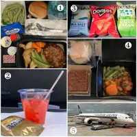 🇮🇩ウブド紀行❶ 機内食編|izoomさん