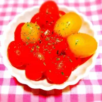 放ったらかし♬酸っぱいプチトマトの救済| あんみっちゃんさん