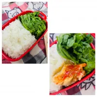 チキングリル弁当|𝓤𝓬𝓪さん