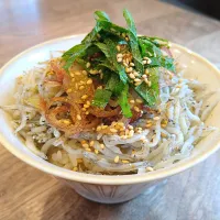 しらす丼|古尾谷りかこさん