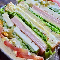 ハムとチーズと野菜のサンドイッチ|Yasuo  Watanabeさん