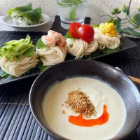 濃厚☆アボガド＆豆腐＆豆乳ダレそうめん